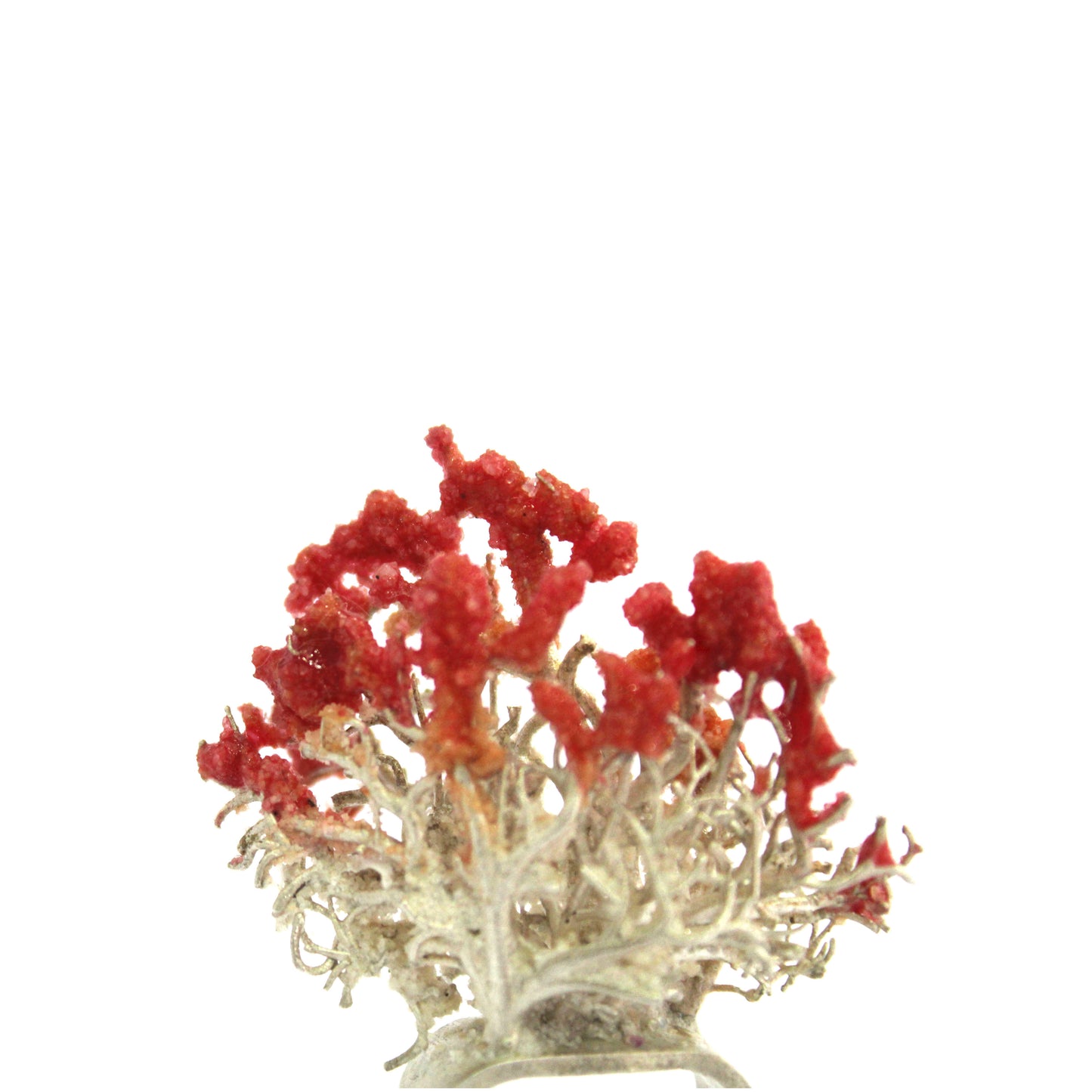 Silver Red Coral Ring